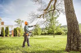 South Gate Ridge, FL Tree Removal Company
